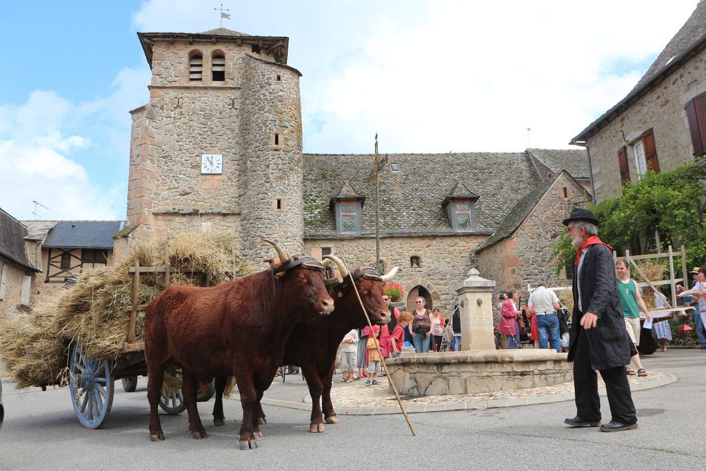 Chambres D'Hotes Du Presbytere La Bastide-l'Eveque Экстерьер фото